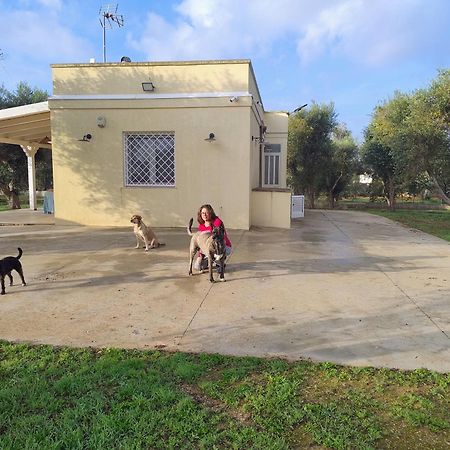 Villa Mios 穆罗莱切塞 外观 照片