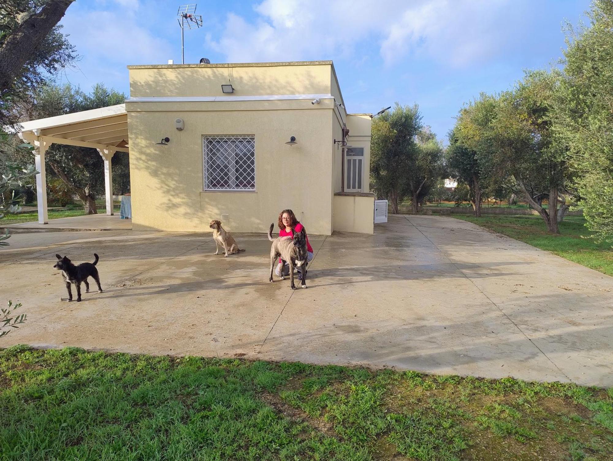 Villa Mios 穆罗莱切塞 外观 照片